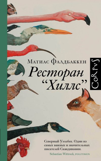 Ресторан «Хиллс» - Матиас Фалдбаккен