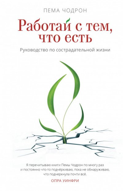 Аудиокнига Работай с тем, что есть. Руководство по сострадательной жизни