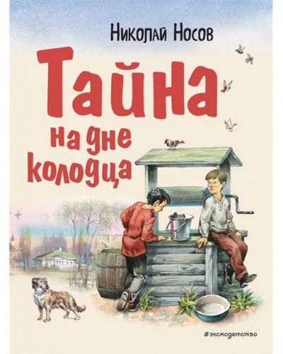 Аудиокнига Тайна на дне колодца