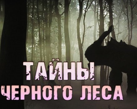 Тайны чёрного леса - Валерий Столяревский