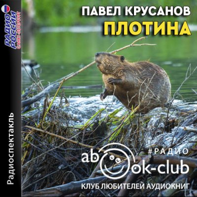 Плотина - Павел Крусанов