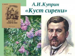 Куст сирени - Александр Куприн