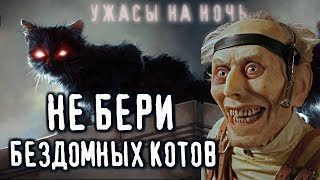 Не бери бездомных котов в квартиру! - Р Саша