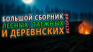 Большой сборник таежных и деревенских историй - Сергей Зимин