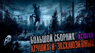 Большой сборник лучших эксклюзивных историй - Сергей Зимин