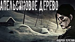 Апельсиновое дерево - Андрей Терехов