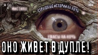 Никогда не кричи в лесу! - Софья Маркелова