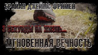 Аудиокнига Мгновенная вечность