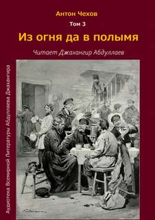 Аудиокнига Из огня да в полымя