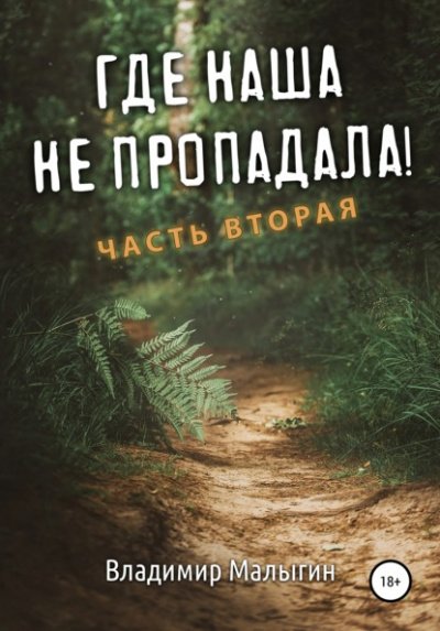 Где наша не пропадала! Часть 2 - Владимир Малыгин