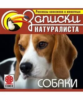 Аудиокнига Рассказы классиков о животных. Собаки