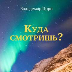 Куда смотришь? - Вальдемар Цорн