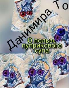 Аудиокнига О пользе пуприкового супа: история третья - Маета Аона