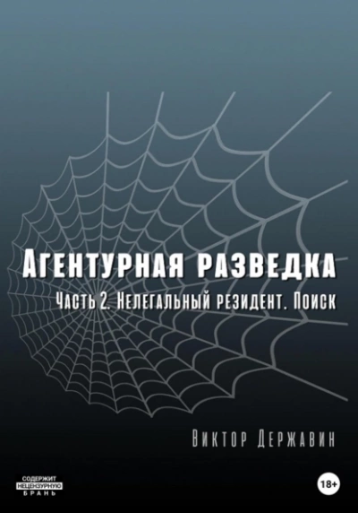 Нелегальный резидент. Поиск - Виктор Державин