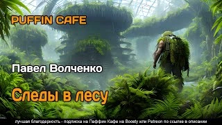 Аудиокнига Следы в лесу