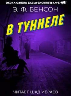 Аудиокнига В туннеле