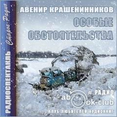 Особые обстоятельства - Авенир Крашенинников