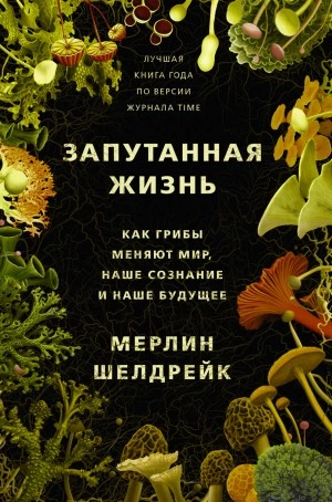 Запутанная жизнь. Как грибы меняют мир, наше сознание и наше будущее - Мерлин Шелдрейк