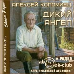 Аудиокнига Дикий Ангел