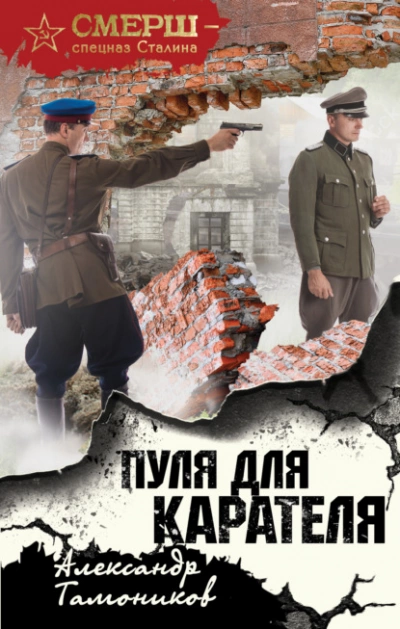 Аудиокнига Пуля для карателя