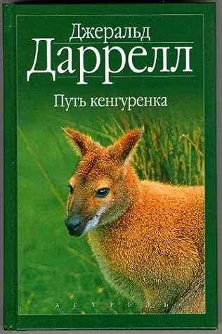 Аудиокнига Путь кенгуренка