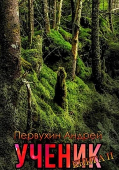 Ученик. Книга вторая - Андрей Первухин