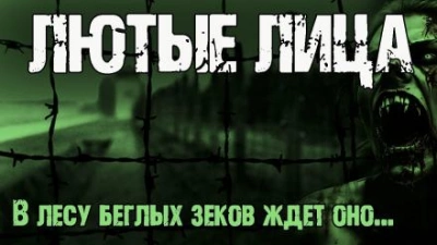 Аудиокнига Лютые лица