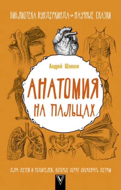 Анатомия на пальцах. Для детей и родителей, которые хотят объяснять детям - Андрей Шляхов