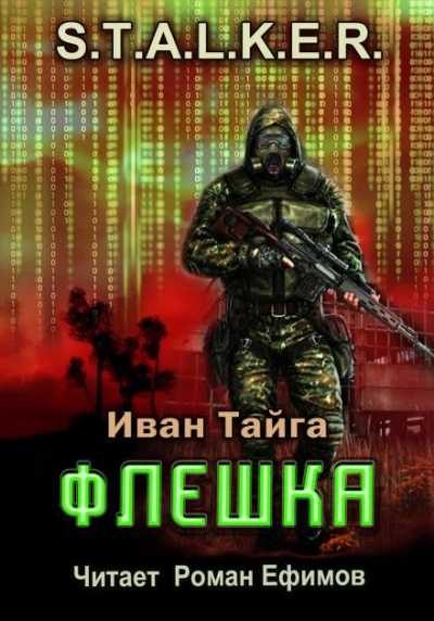 Аудиокнига Флешка. S.T.A.L.K.E.R.