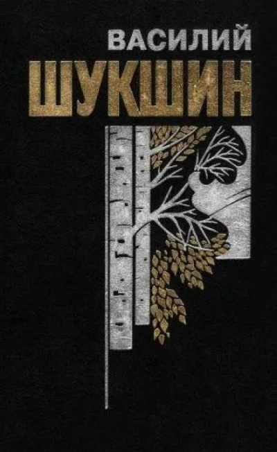 Аудиокнига Лёля Селезнёва с факультета журналистики