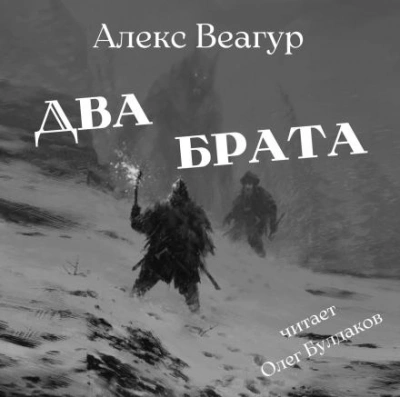 Аудиокнига Два брата