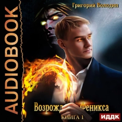 Возрождение Феникса. Книга 1 - Григорий Володин