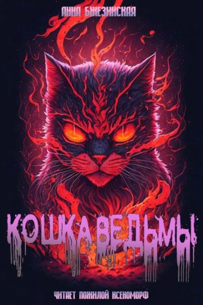 Кошка Ведьмы - Анна Бжезинская