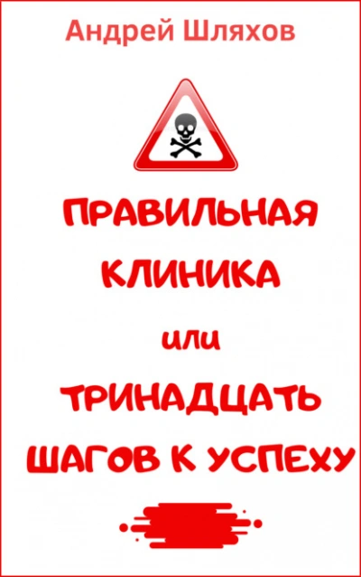 Аудиокнига Правильная клиника, или 13 шагов к успеху