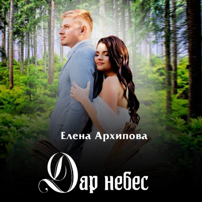 Аудиокнига Дар небес