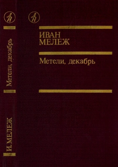 Аудиокнига Метель, декабрь
