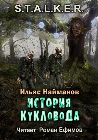 Аудиокнига История Кукловода