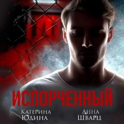 Аудиокнига Испорченный. Книга 2