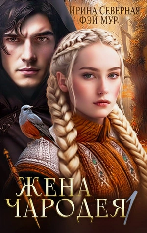 Аудиокнига Град Серебряный