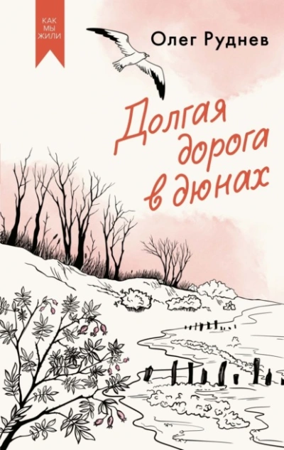 Аудиокнига Долгая дорога в дюнах