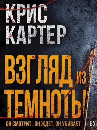 Аудиокнига Взгляд из темноты