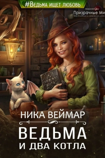 Аудиокнига Ведьма и два котла