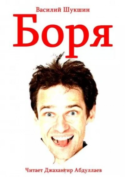 Аудиокнига Боря