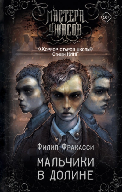 Аудиокнига Мальчики в долине