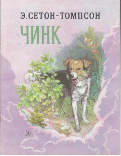 Аудиокнига Чинк