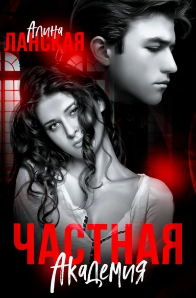 Аудиокнига Частная Академия. Книга 1