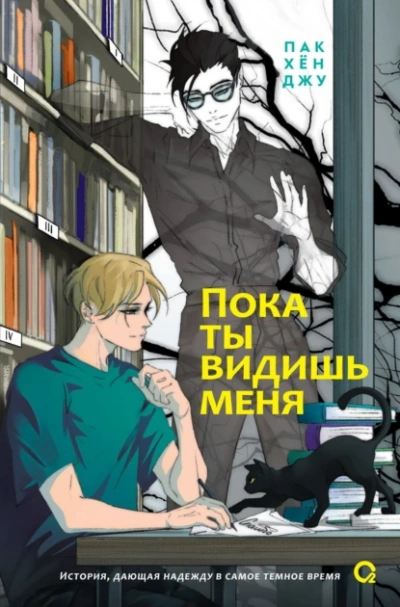 Аудиокнига Пока ты видишь меня