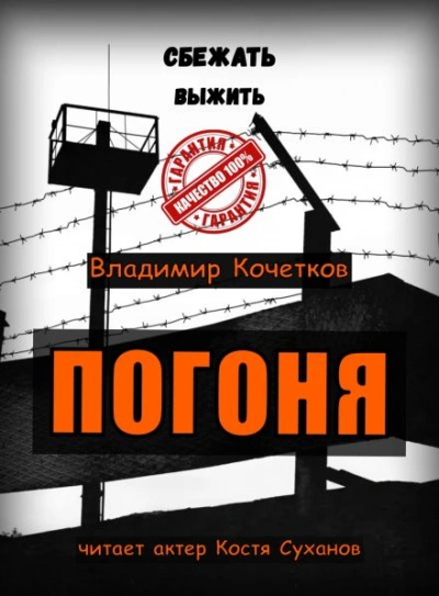 Аудиокнига Погоня