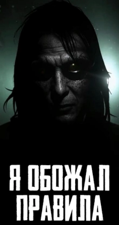 Аудиокнига Я обожал правила