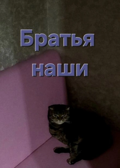 Аудиокнига Братья наши